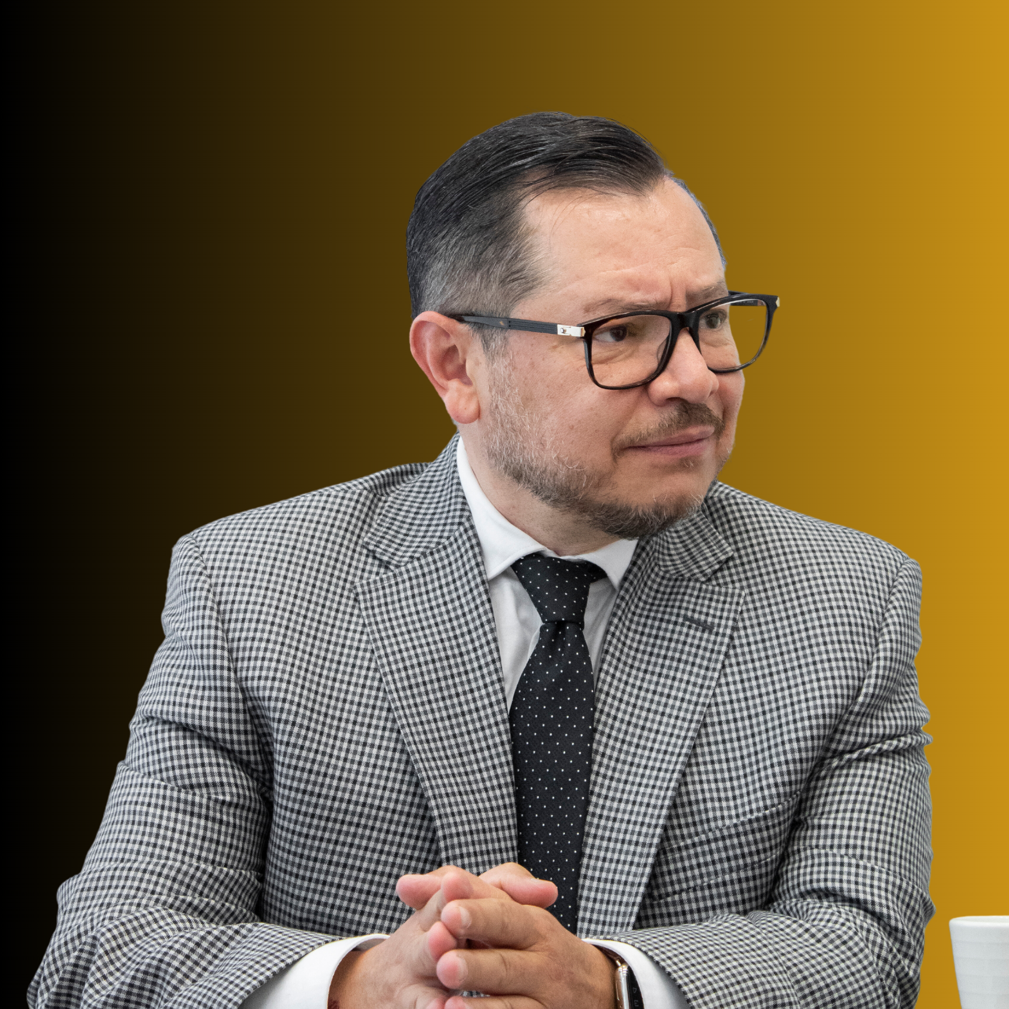 Dr. Álvaro Vizcaíno Zamora